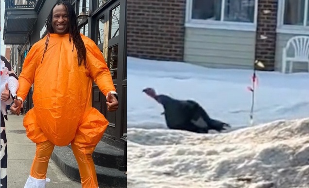 Georges Laraque gagnerait-il son combat contre la dinde noire?