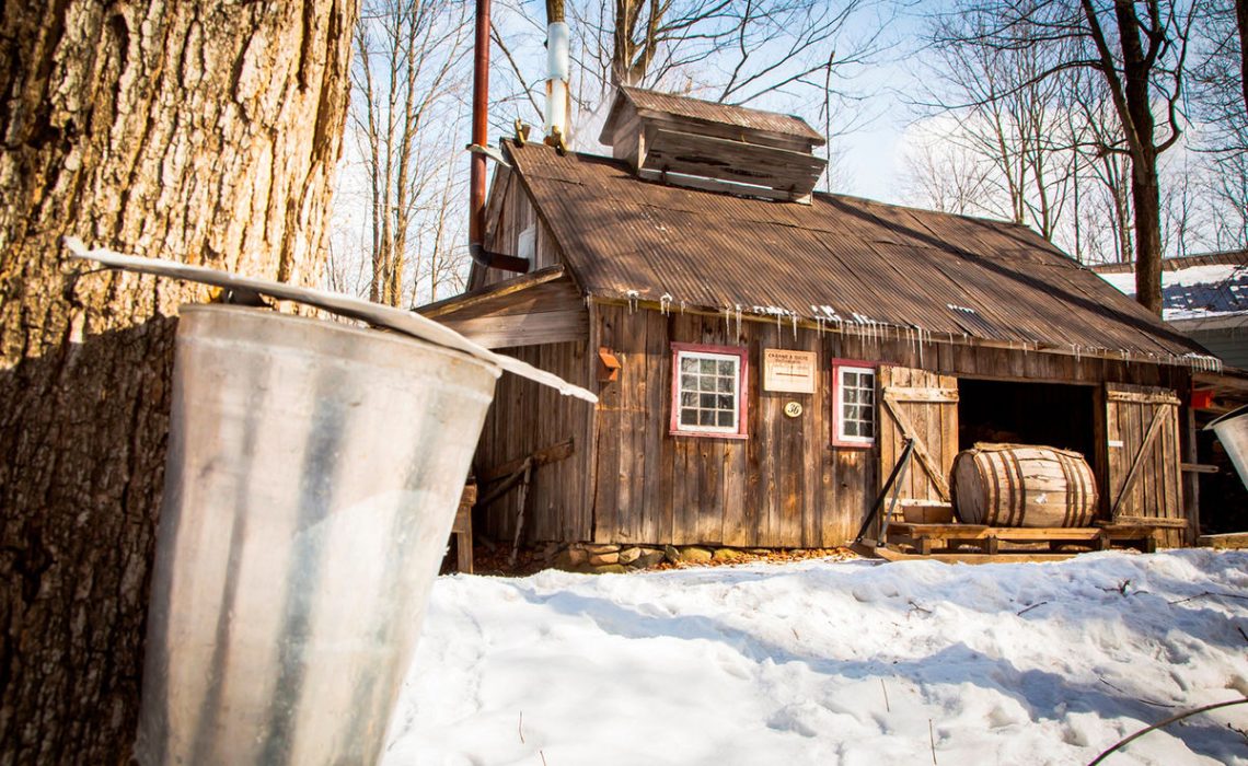 Prix de la cabane à sucre: une influenceuse n’en revient pas